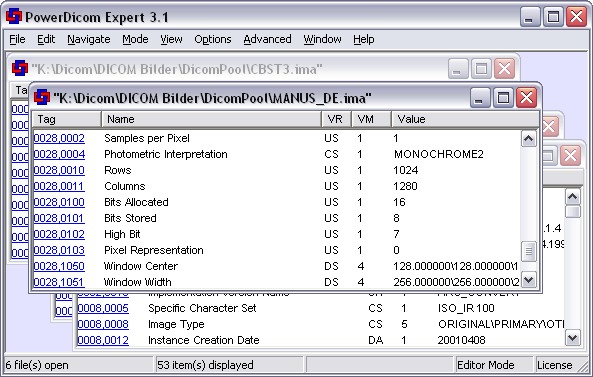 PowerDicom mit mehreren geöffneten Dateien